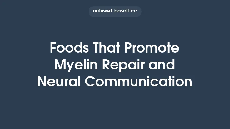 Foods That Promote Myelin Repair and Neural Communication Thumbnail